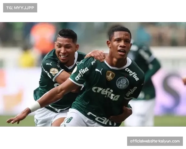 弗拉门戈区域防守紧凑性，中场球员回防参与度数据统计